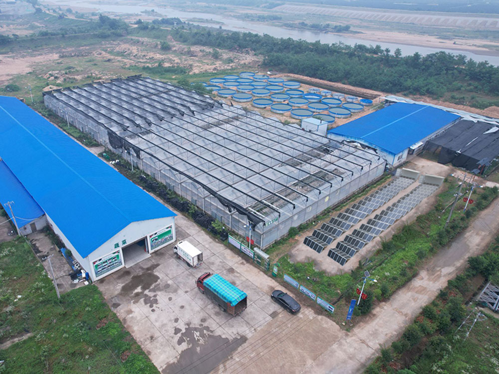 Solar Power Containers for Nguồn điện tự cung cấp